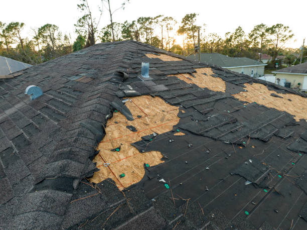 Best Roof Insulation Installation  in Shaker Heights, OH